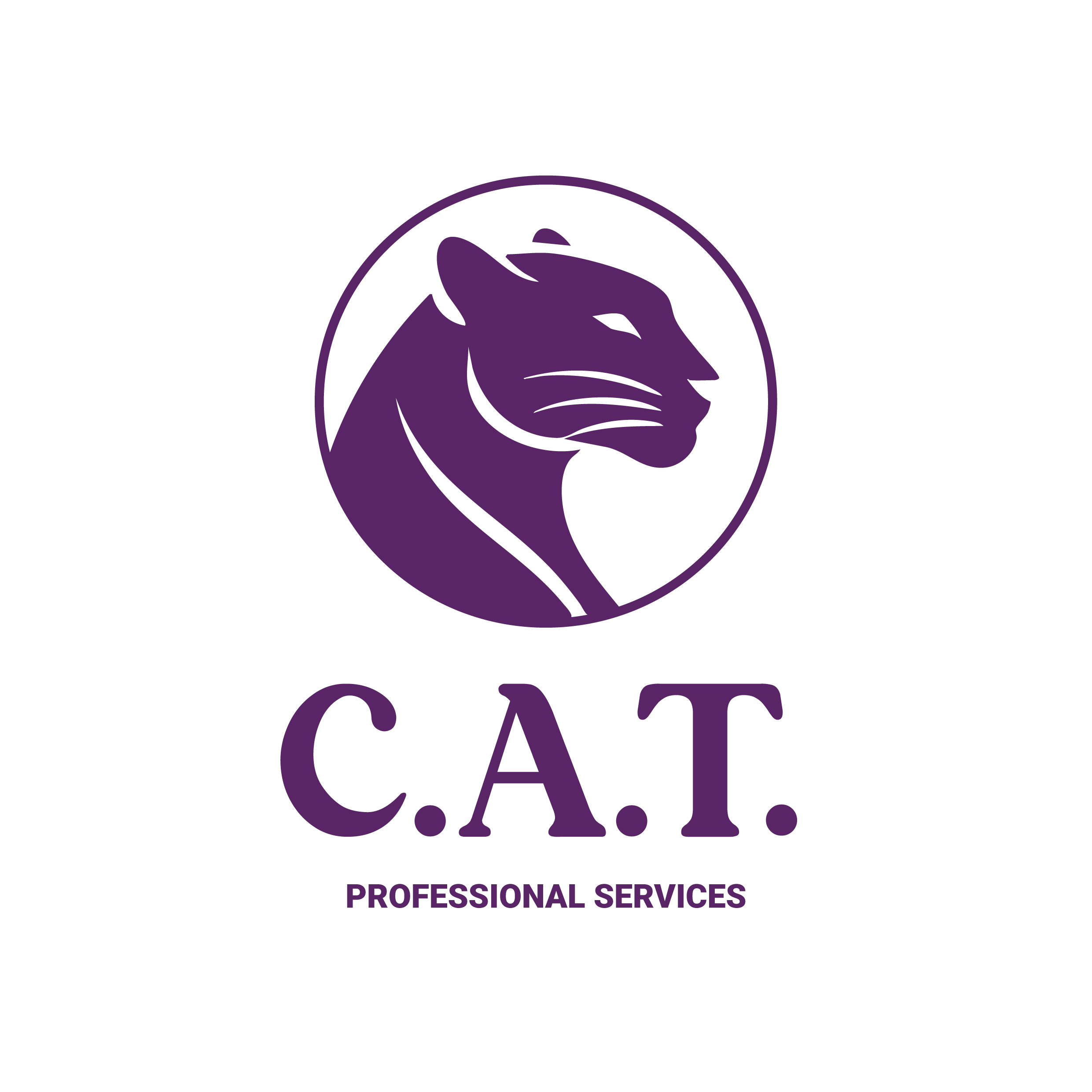 Consulting, Accounting & Tax